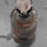 Mojave Ghost Absolu