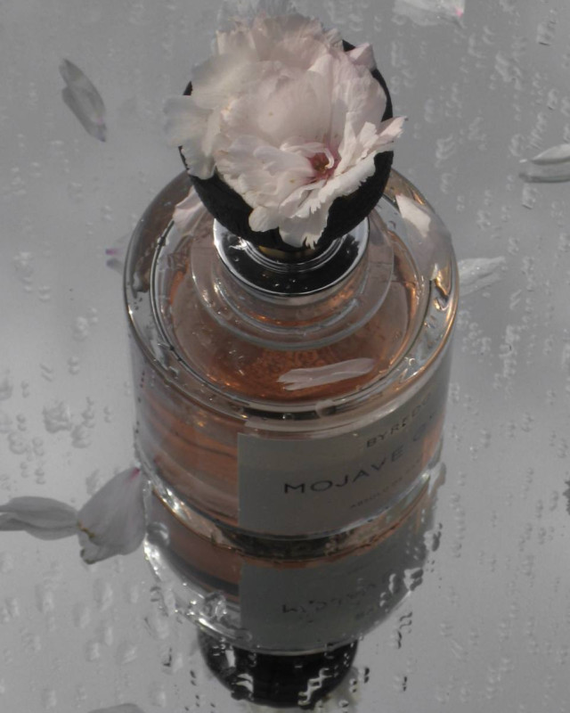 Mojave Ghost Absolu