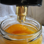 Apricot Innocence