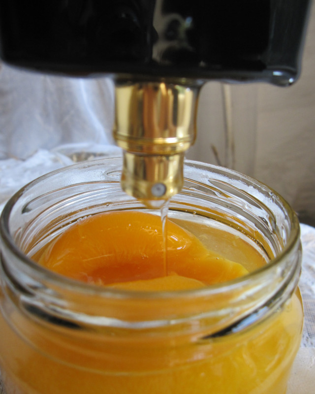 Apricot Innocence